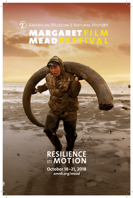 2018-Mead-Film-Festival