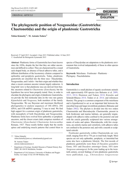 The Phylogenetic Position of Neogosseidae (Gastrotricha: Chaetonotida) and the Origin of Planktonic Gastrotricha