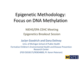 Epigenetic Methodology: Focus on DNA Methylation