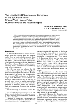 Musculus Uvulae and Palatine Raphe