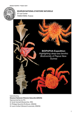 BIOPAPUA Expedition Highlighting Deep-Sea Benthic Biodiversity of Papua New- Guinea