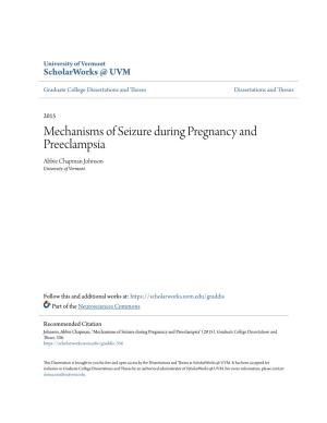 Mechanisms of Seizure During Pregnancy and Preeclampsia Abbie Chapman Johnson University of Vermont
