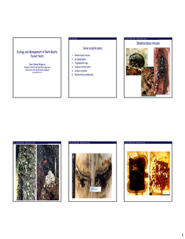 Ecology & Management of Bark-Beetle Forest Pests