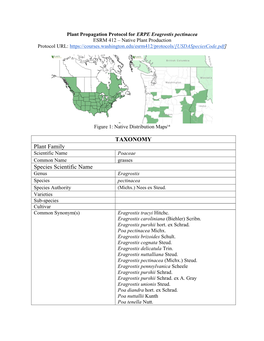 Plant Propagation Protocol for ERPE Eragrostis Pectinacea