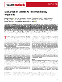 Evaluation of Variability in Human Kidney Organoids
