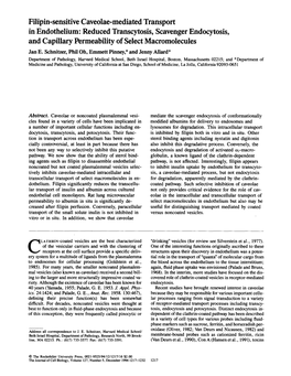 Filipin-Sensitive Caveolae-Mediated Transport in Endothelium: Reduced Transcytosis, Scavenger Endocytosis, and Capillary Permeability of Select Macromolecules Jan E