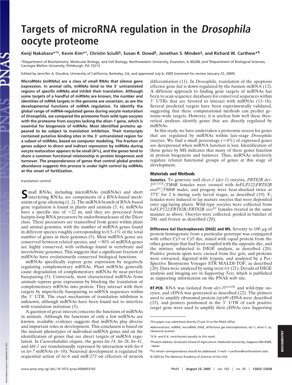 Targets of Microrna Regulation in the Drosophila Oocyte Proteome