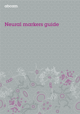 Neural Markers Guide Contents