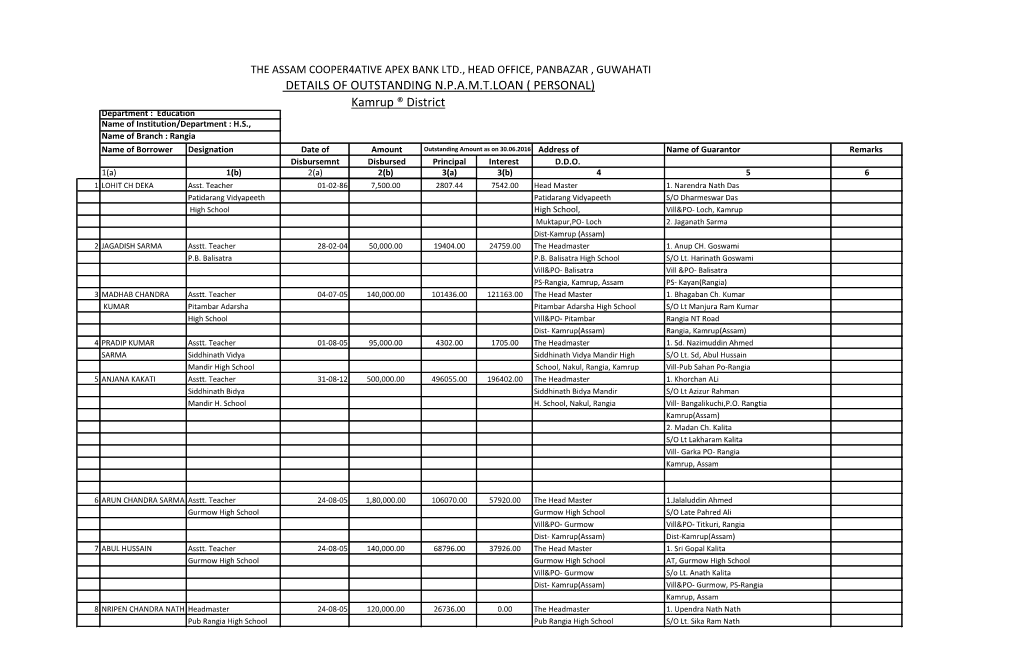 Details of Outstanding N.P.A.M.T.Loan ( Personal