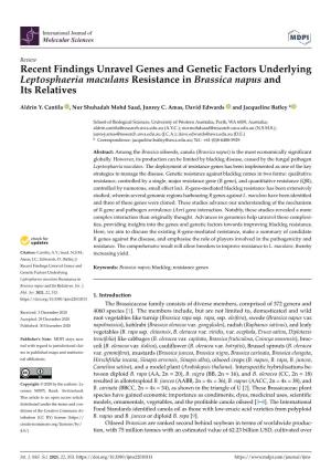 Recent Findings Unravel Genes and Genetic Factors Underlying Leptosphaeria Maculans Resistance in Brassica Napus and Its Relatives