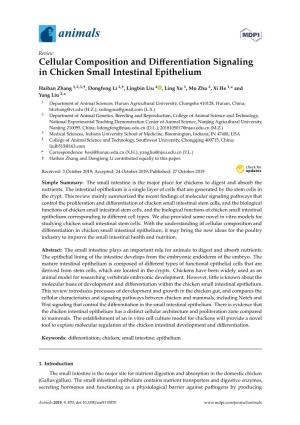 Cellular Composition and Differentiation Signaling in Chicken