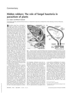 The Role of Fungal Haustoria in Parasitism of Plants