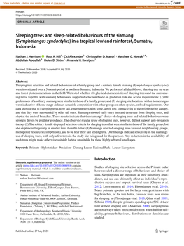 Sleeping Trees and Sleep-Related Behaviours of the Siamang