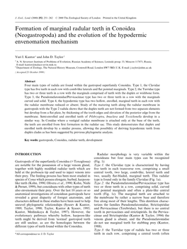 Formation of Marginal Radular Teeth in Conoidea (Neogastropoda) and the Evolution of the Hypodermic Envenomation Mechanism