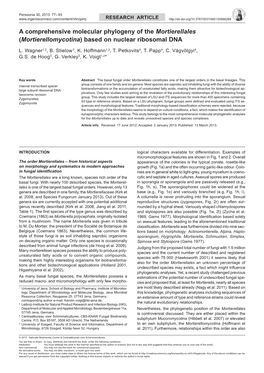 A Comprehensive Molecular Phylogeny of the Mortierellales (Mortierellomycotina) Based on Nuclear Ribosomal DNA