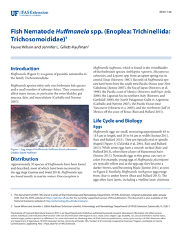 Fish Nematode Huffmanela Spp. (Enoplea: Trichinellida: Trichosomoididae)1 Fauve Wilson and Jennifer L