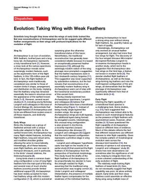 Evolution: Taking Wing with Weak Feathers