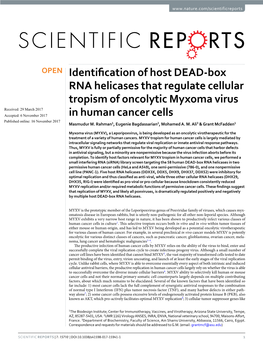 Identification of Host DEAD-Box RNA Helicases That Regulate Cellular Tropism of Oncolytic Myxoma Virus in Human Cancer Cells