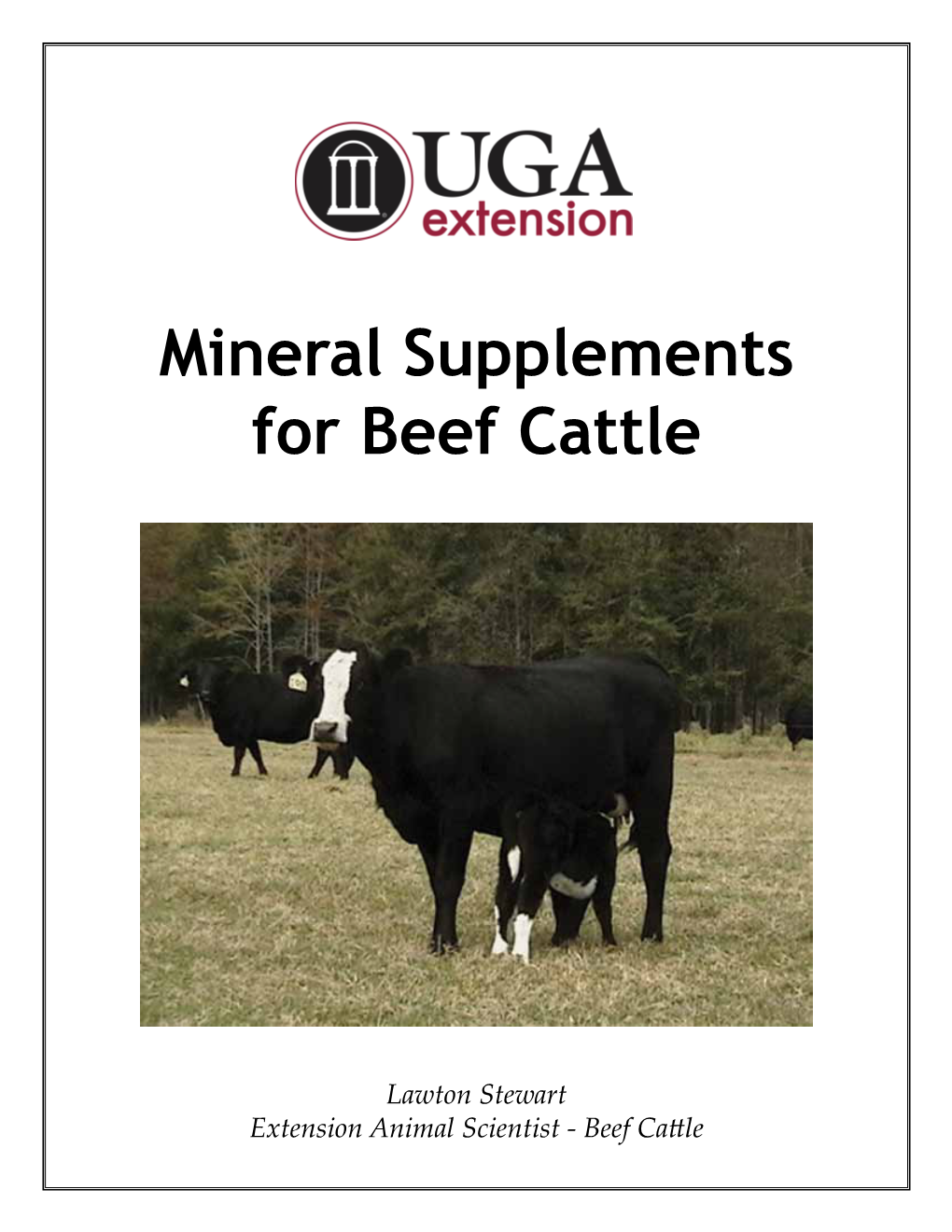 Mineral Supplements for Beef Cattle