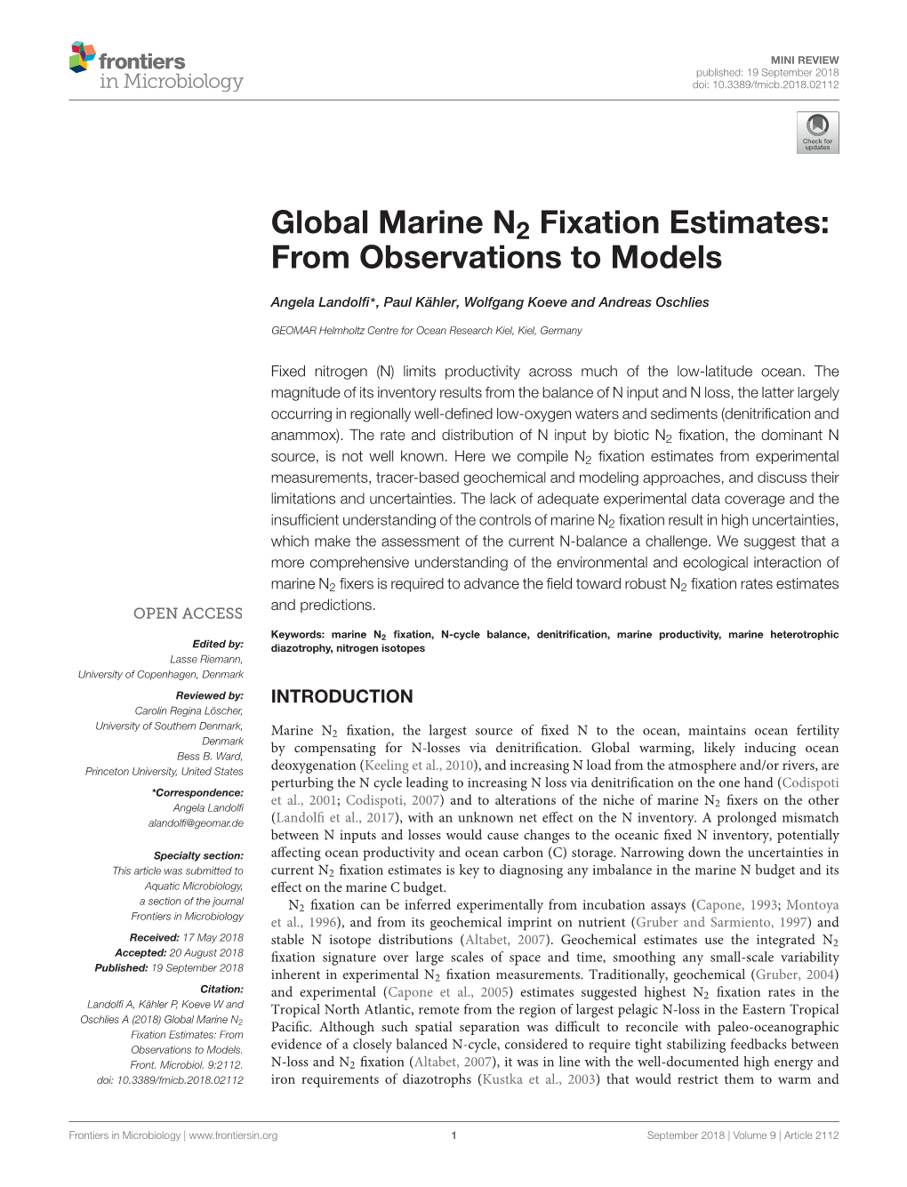 Global Marine N2 Fixation Estimates: from Observations to Models