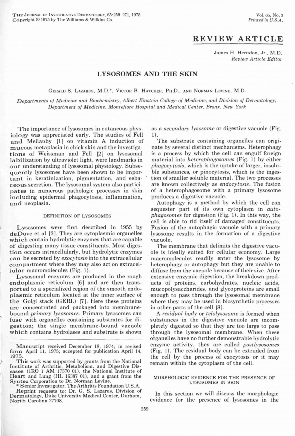 Lysosomes and the Skin