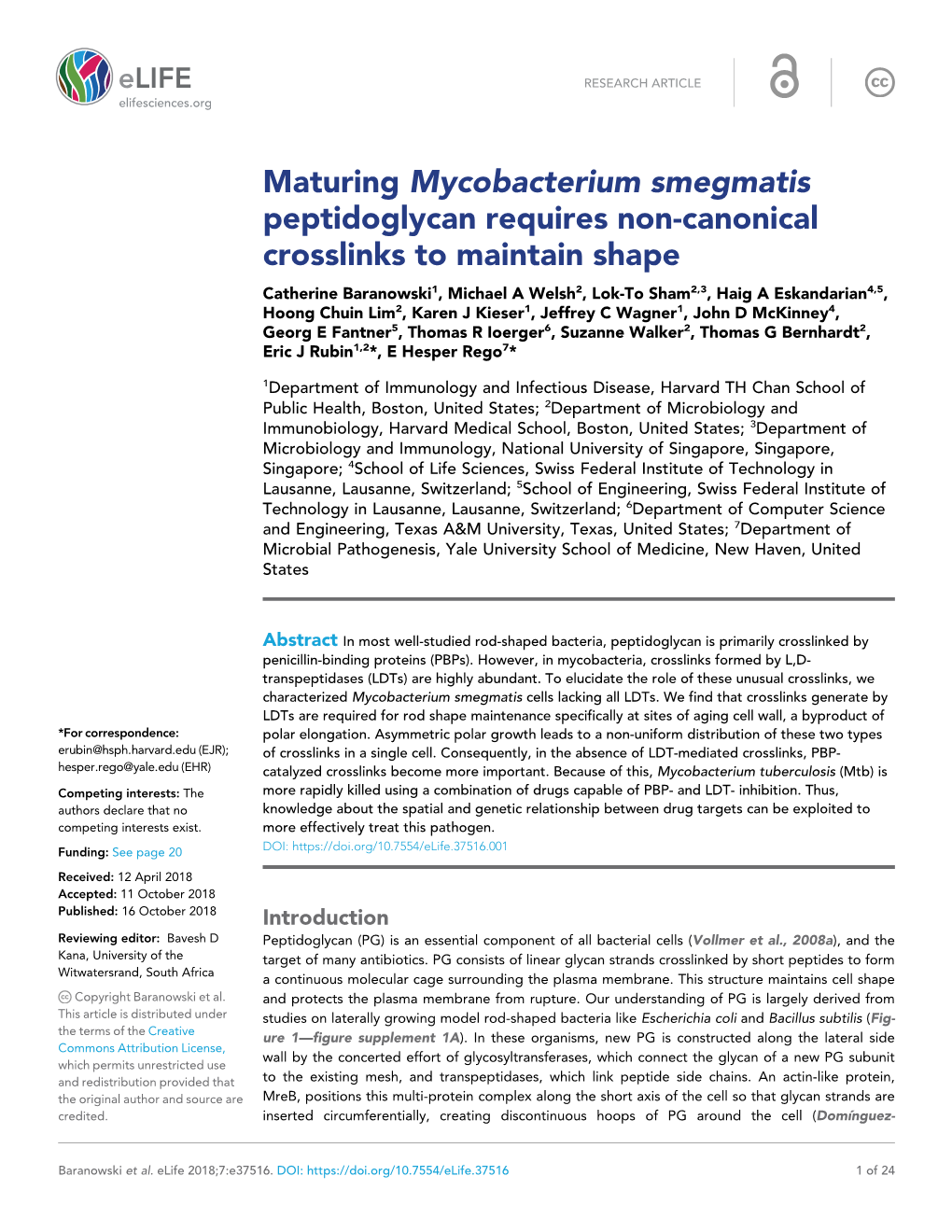 Maturing Mycobacterium Smegmatis Peptidoglycan Requires Non