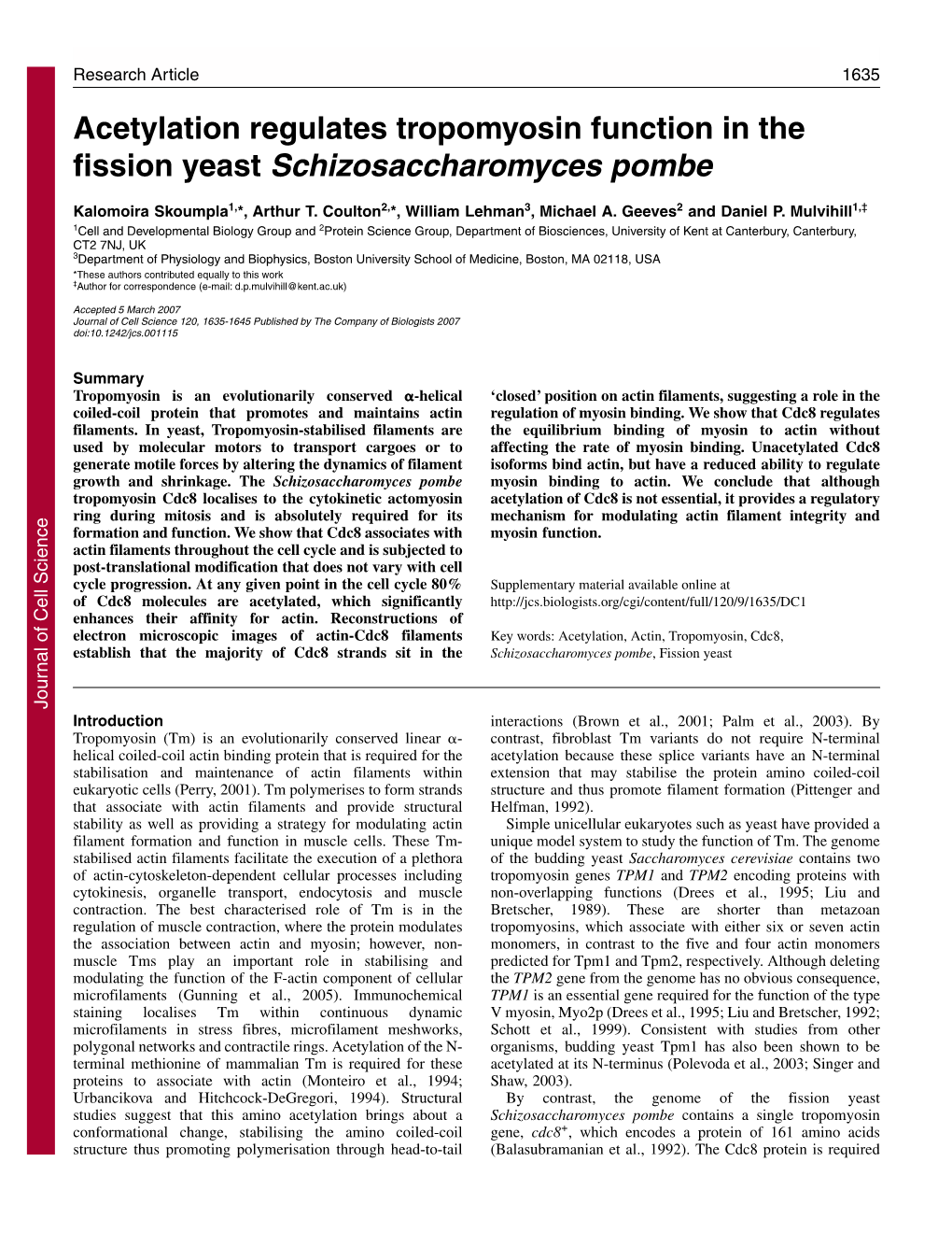 Acetylation Regulates Tropomyosin Function in the Fission Yeast Schizosaccharomyces Pombe