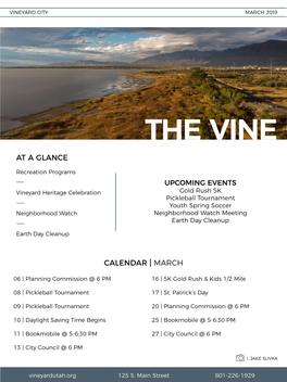 The Vine at a Glance