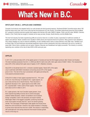 What's New in B.C