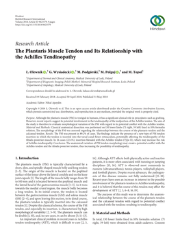 Research Article the Plantaris Muscle Tendon and Its Relationship with the Achilles Tendinopathy