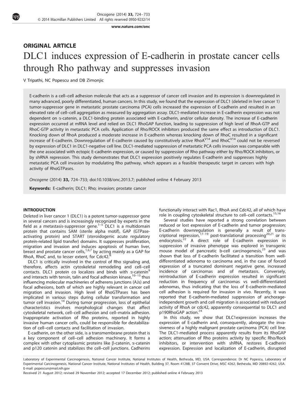 DLC1 Induces Expression of E-Cadherin in Prostate Cancer Cells Through Rho Pathway and Suppresses Invasion