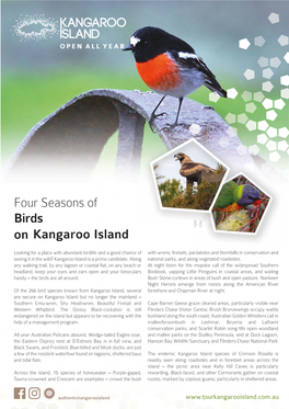 Birds Four Seasons on Kangaroo Island