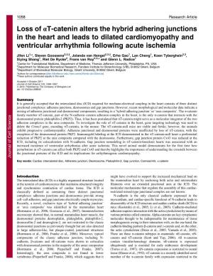 Loss of At-Catenin Alters the Hybrid Adhering Junctions in the Heart and Leads to Dilated Cardiomyopathy and Ventricular Arrhythmia Following Acute Ischemia
