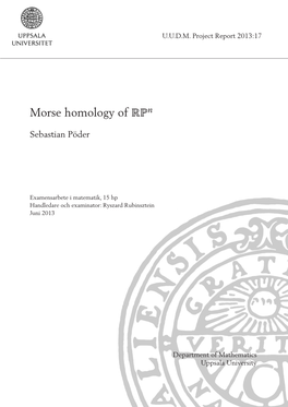 Morse Homology of N