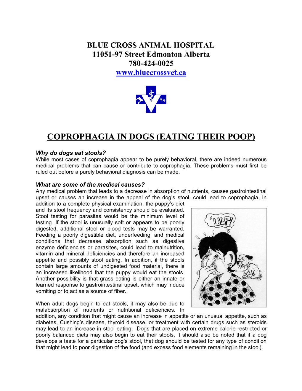 Coprophagia in Dogs (Eating Their Poop)