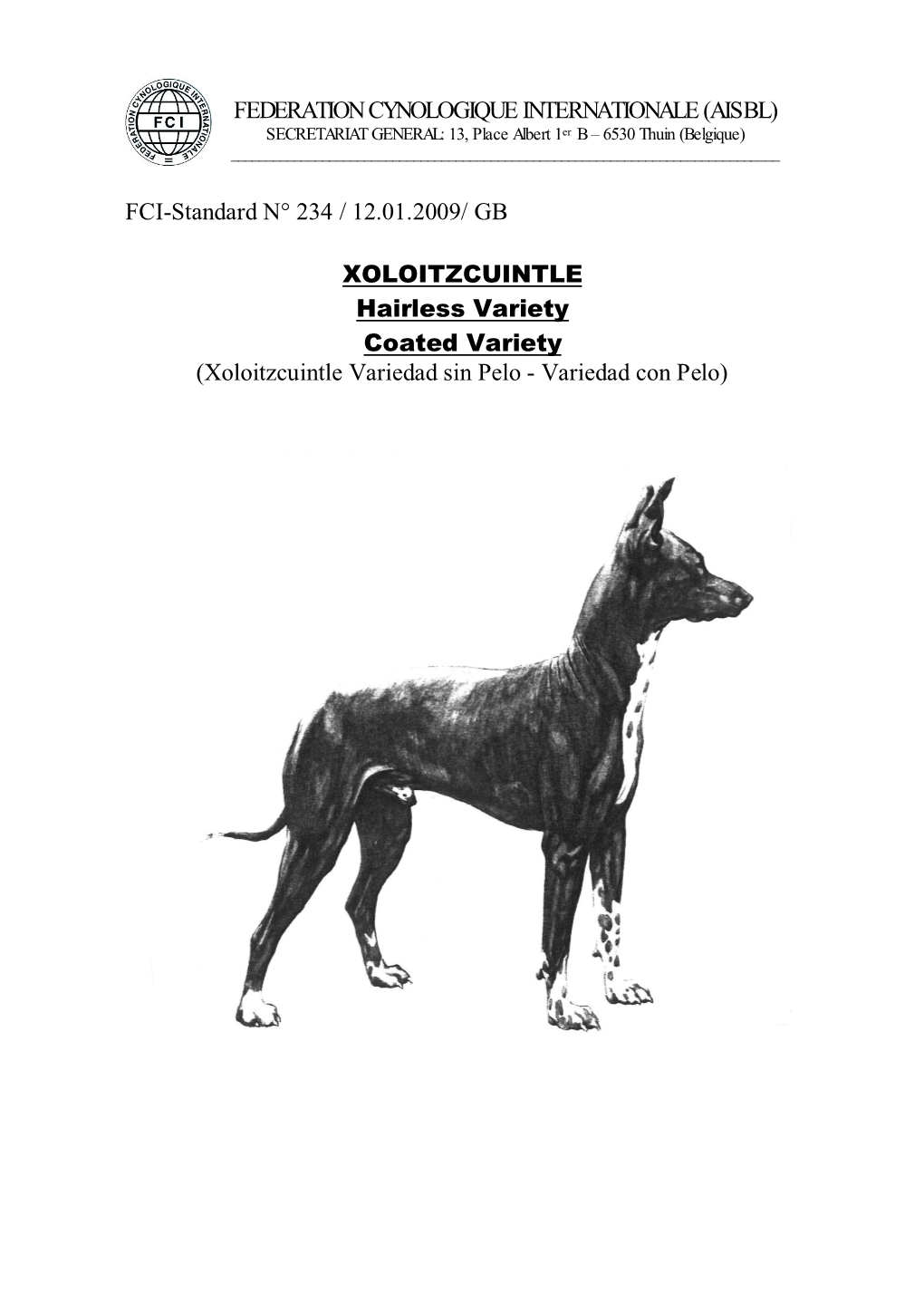 FEDERATION CYNOLOGIQUE INTERNATIONALE (AISBL) FCI-Standard N° 234 / 12.01.2009/ GB XOLOITZCUINTLE Hairless Variety Coated Varie