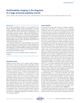 Multimodality Imaging in the Diagnosis of a Large Accessory Papillary Muscle