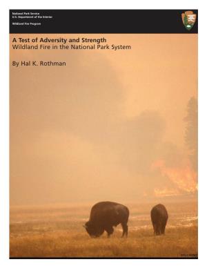 A Test of Adversity and Strength: Wildland Fire in the National Park System