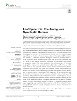 Leaf Epidermis: the Ambiguous Symplastic Domain