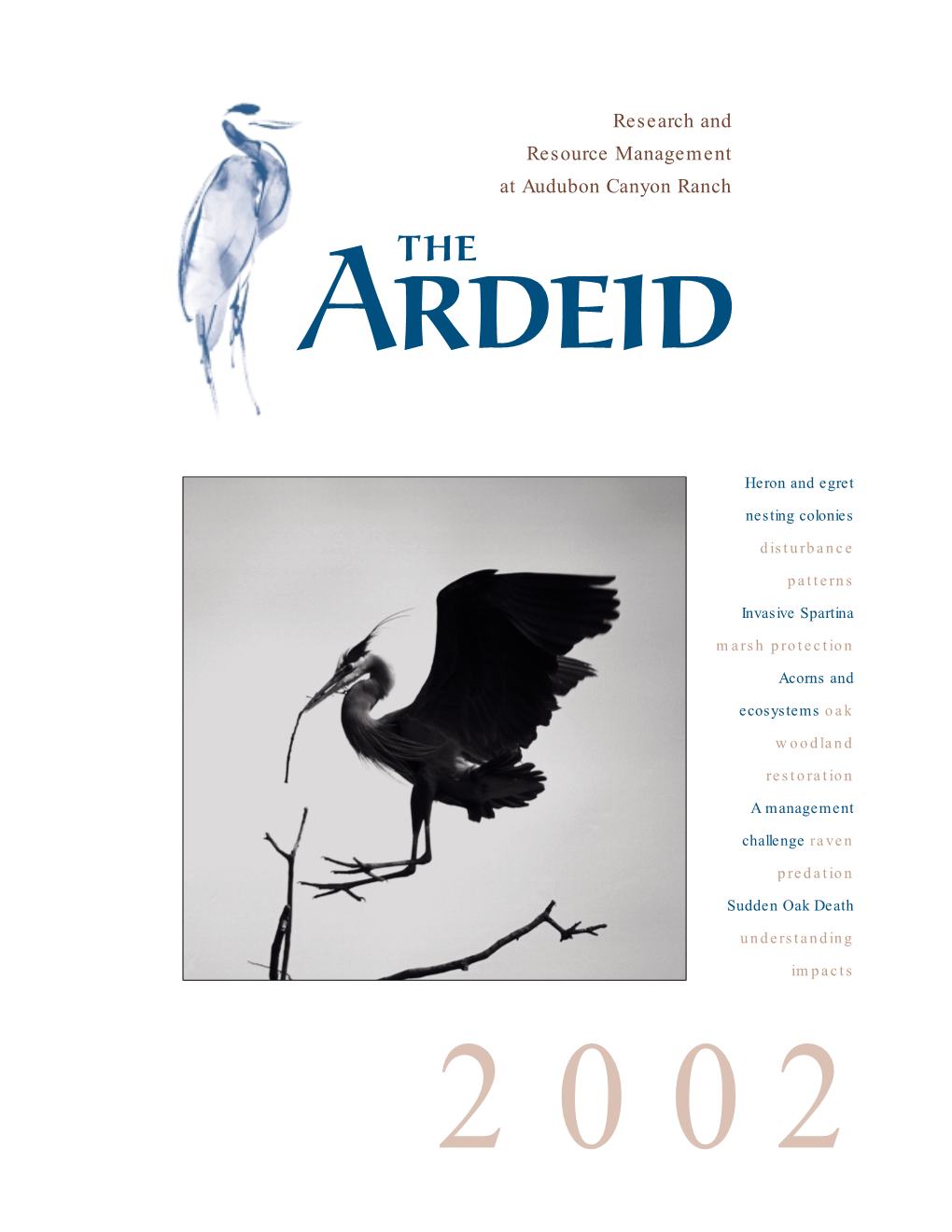 2002 the ARDEID 2002
