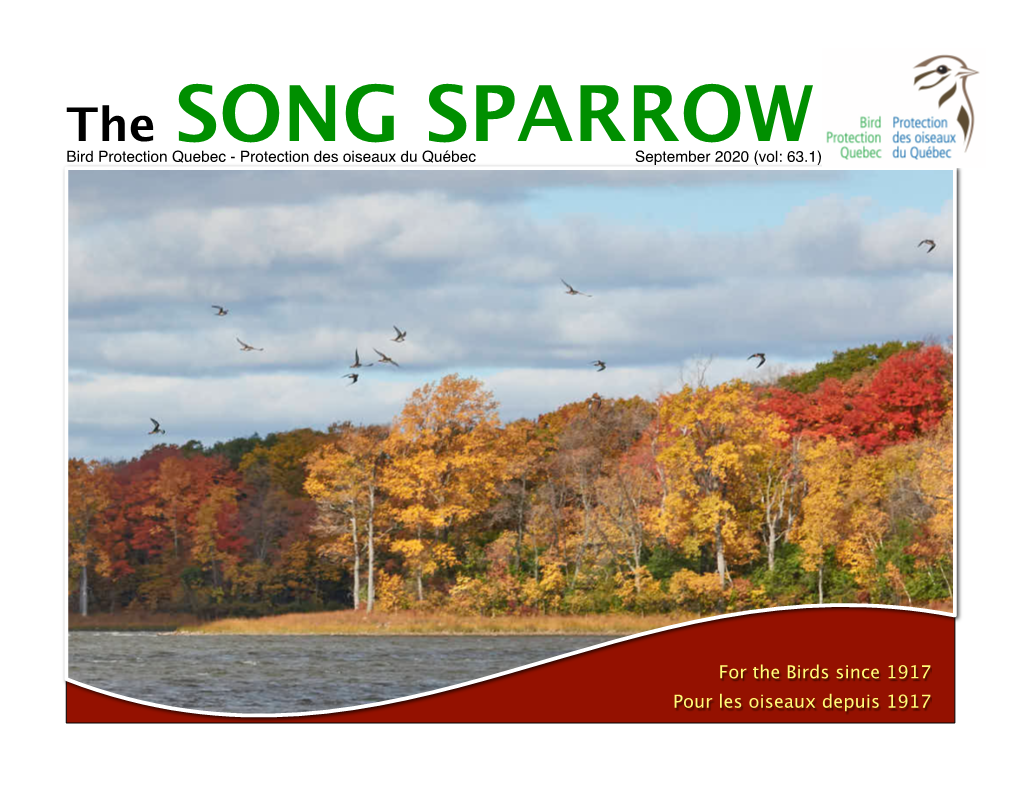 The SONG SPARROW Bird Protection Quebec - Protection Des Oiseaux Du Québec September 2020 (Vol: 63.1)