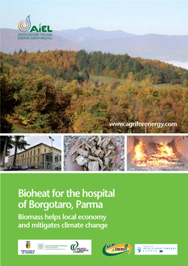 Bioheat for the Hospital of Borgotaro, Parma Biomass Helps Local Economy and Mitigates Climate Change