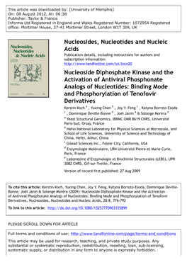 Nucleoside Diphosphate Kinase and the Activation of Antiviral