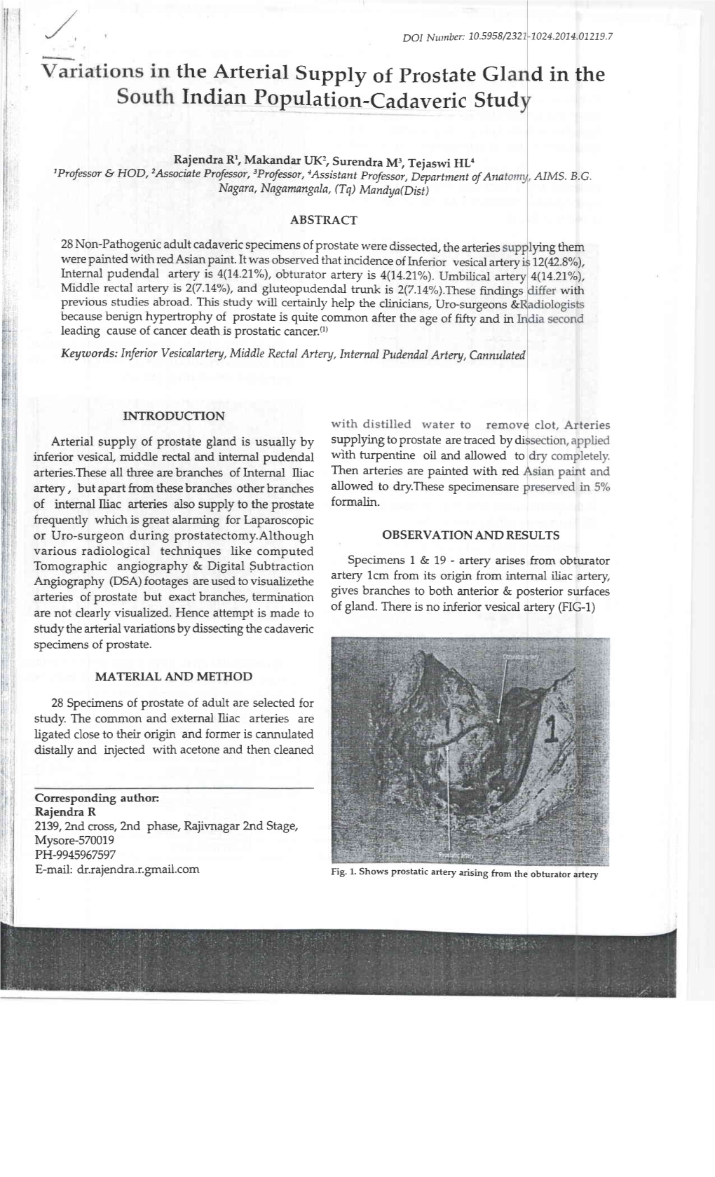 Variations in the Arterial Supplly of Prostate Gland in the South Indian