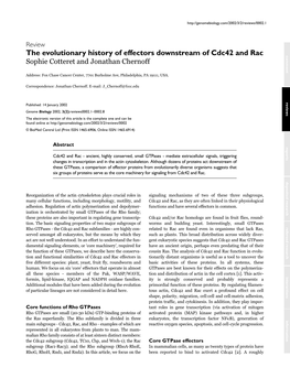 The Evolutionary History of Effectors Downstream of Cdc42 and Rac Comment Sophie Cotteret and Jonathan Chernoff