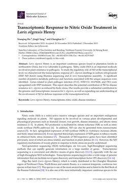 Transcriptomic Response to Nitric Oxide Treatment in Larix Olgensis Henry