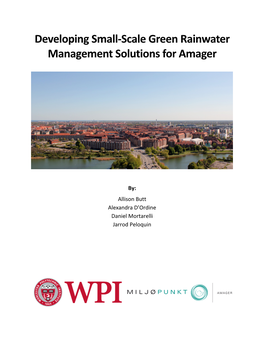 Developing Small-Scale Green Rainwater Management Solutions for Amager