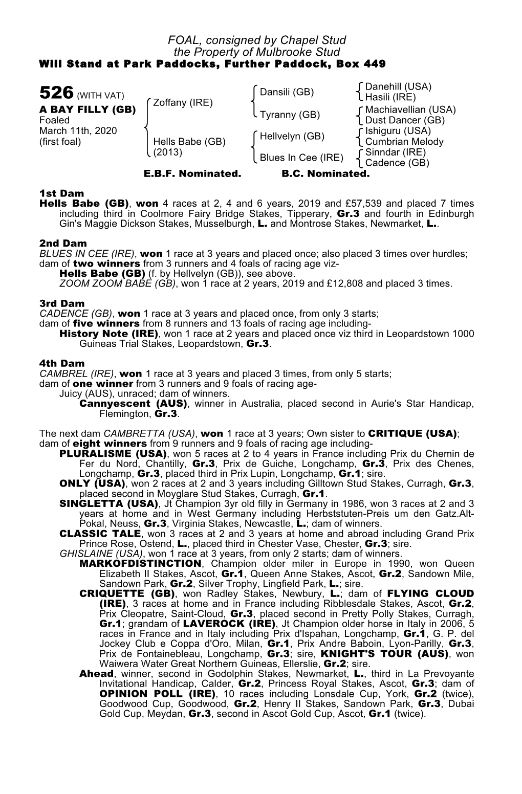 FOAL, Consigned by Chapel Stud the Property of Mulbrooke Stud Will Stand at Park Paddocks, Further Paddock, Box 449