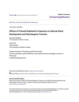 Effects of Prenatal Bisphenol a Exposure on Adrenal Gland Development and Steroidogenic Function