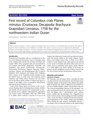 First Record of Columbus Crab Planes Minutus (Crustacea: Decapoda: Brachyura: Grapsidae) Linnaeus, 1758 for the Northwestern